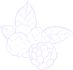 shape 03 2